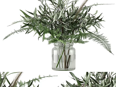 Clear Glass Vase With Fresh Green Leafy Plants And Fern Decor 3d model