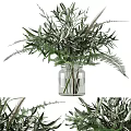 Clear Glass Vase With Fresh Green Leafy Plants And Fern Decor