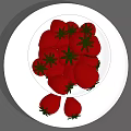 Fresh Red Strawberries in White Bowl Placed on White Plate with Extra Berries