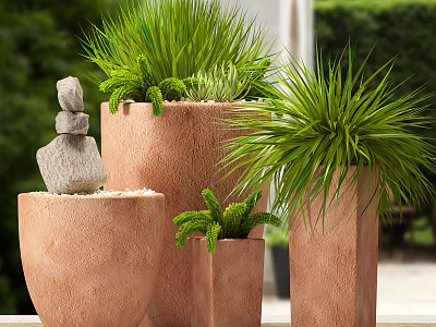 Bonsai Potted Plants In Terracotta Pots With Green Foliage And Stone Decorations 3d model
