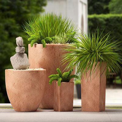 Bonsai Potted Plants In Terracotta Pots With Green Foliage And Stone Decorations 3d model