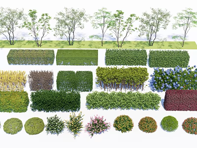Diverse Shrubs With Pruned Shapes Vibrant Foliage For Garden Landscape Design 3d model