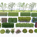 Diverse Shrubs With Pruned Shapes Vibrant Foliage For Garden Landscape Design