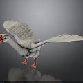 White Goose With Spread Wings Orange Beak And Orange Feet Standing On Dark Background