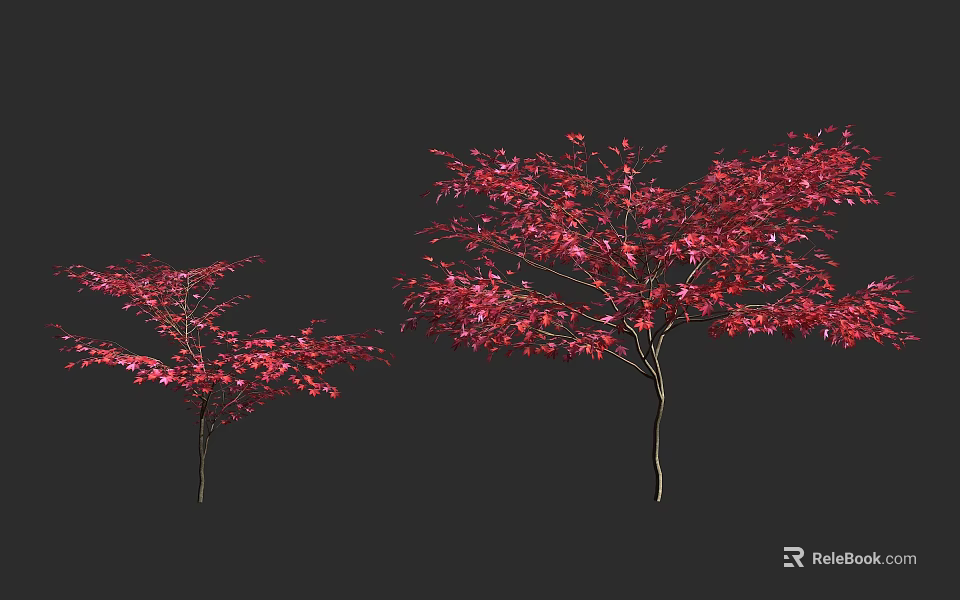 Two Ornamental Arbor Trees With Vibrant Red Leaves On Dark Background 3d model 