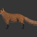 Modern fox Firefox Firefox 3d model