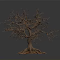 Isolated Leafless Tree With Thin Trunk And Exposed Roots On Dark Background