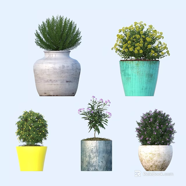Bonsai Potted Plants With Colorful Ceramic Pots And Various Green Flowering Shrubs 3d model 