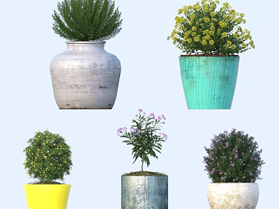 Bonsai Potted Plants With Colorful Ceramic Pots And Various Green Flowering Shrubs 3d model
