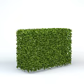 Lush Green Rectangular Hedge With Dense Fresh Leaves On White Background 3d model