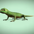 Green Lizard With Red Head Orange Body And Sharp Detailed Claws On Light Background 3d model