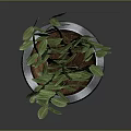 Silver Cylindrical Pot With Green Leafy Plant And Slender Stems On Dark Background