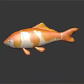 Orange And White Koi Fish With Reflection Swimming On Black Background 3d model