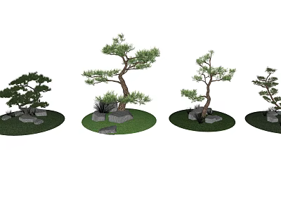 Various Forms Of Bonsai Arbor Trees With Decorative Stones And Green Grass 3d model