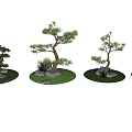 Various Forms Of Bonsai Arbor Trees With Decorative Stones And Green Grass