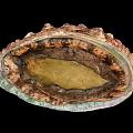 Abalone Shell Displaying Vibrant Interior With Natural Iridescent Texture And Patterns