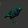 3D Rendered Teal Purple Crow With Shiny Feathers On Gray Minimal Background