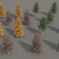 Various Colored Trees With Slender Trunks And Conical Crowns On Grey Background