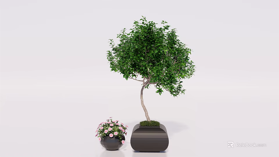Bonsai Tree With Lush Green Leaves In Dark Square Pot And Small Potted Pink Flowers 3d model 