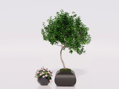 Bonsai Tree With Lush Green Leaves In Dark Square Pot And Small Potted Pink Flowers 3d model
