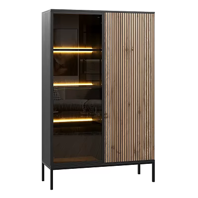 Modern Entryway Side Cabinet With Glass Doors Wooden Panels And Built-in LED Lights 3d model