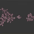 Three Pink Flowering Trees in 3D Model with White Background and Different Sizes