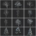 Various Arbor Forms Including Deciduous Snow Covered Branches And Evergreen Tree Types 3d model
