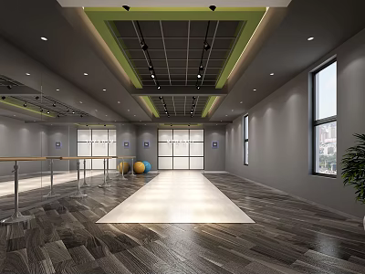 Fitness Studio Interior With Mirrors Barre Exercise Balls Windows Green Ceiling And Wooden Flooring 3d model