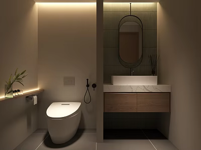 Other Bathroom Interior Design With Toilet Vanity Oval Mirror And Ambient Lighting 3d model