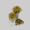 Textured Ceramic Vases With Yellow Flowers And Fresh Pears For Home Decor