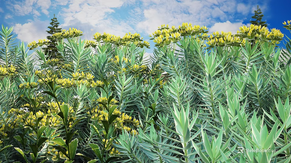 Lush Bush with Yellow Flowers and Green Leaves Under Blue Sky White Clouds and Trees 3d model 