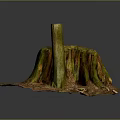 Tree Stump with Green Moss Surrounded by Dirt and Twigs Detailed Natural Forest Floor