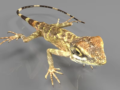 Brown And Yellow Patterned Lizard With Black And White Striped Tail And Detailed Head 3d model