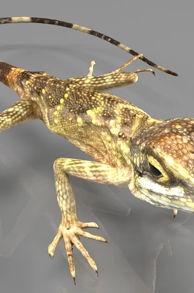 Brown And Yellow Patterned Lizard With Black And White Striped Tail And Detailed Head 3d model