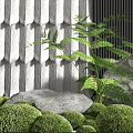 Green Plants and Moss in Black Marble Planter with White Tile Wall Art and Stone