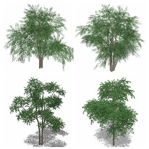 modern tree flowers green plants 3d model