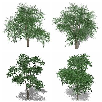 modern tree flowers green plants 3d model