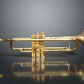 Golden Household Decorative Object With Shiny Reflective Surface And Dark Background