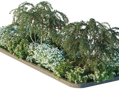 Lush Mixed Shrubs With Green Foliage And White Flowers In Garden Planter 3d model