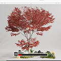 Charming Garden Miniature Scene With Red Maple Tree Rocks Green Foliage And Mushrooms