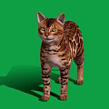 Spotted Cat With Brown And Black Coat Standing On Green Background