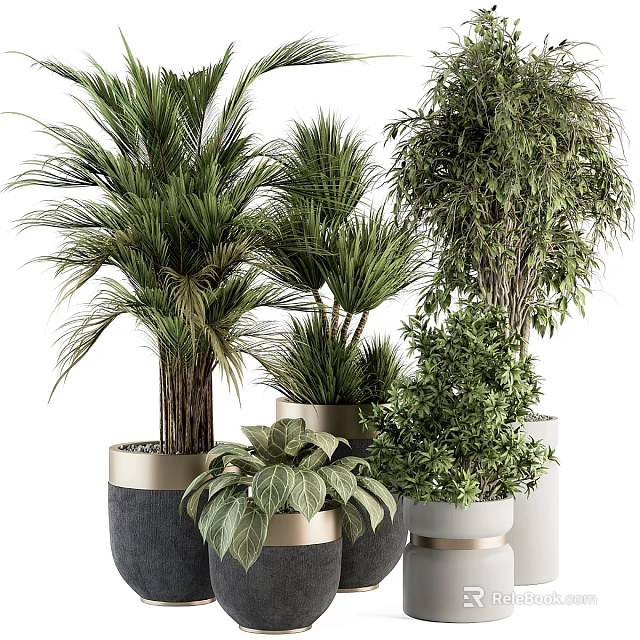 Assorted Indoor Potted Plants Including Palm Bamboo And Greenery In Modern Planters 3d model 