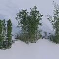 Various Green Bamboo Plants With Different Growth Forms Growing In Snowy Landscape