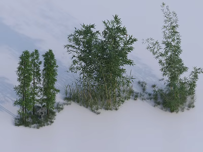 Various Green Bamboo Plants With Different Growth Forms Growing In Snowy Landscape 3d model