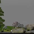Natural Courtyard Garden with Green Tree Lush Grass Decorative Rocks and Small Plants
