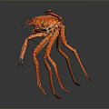 Red Spotted Aquatic Crab With Long Legs And Detailed Marine Features