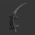 Prehistoric Reptile With Green Spiked Sail Back Gray Body And Shiny Surface