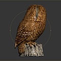 Modern owl grimaces owl long-eared owl 3d model