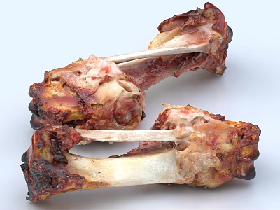 Appetizing Roasted Meaty Bones With Crispy Surface And Juicy Tender Meat Inside 3d model