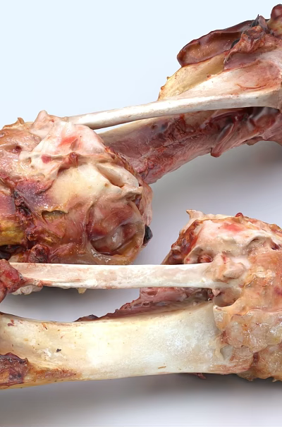 Appetizing Roasted Meaty Bones With Crispy Surface And Juicy Tender Meat Inside 3d model